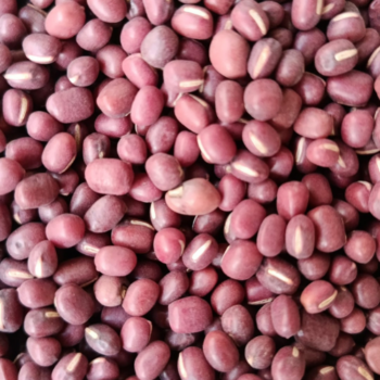 Soja Roja Azuki /100 gr.