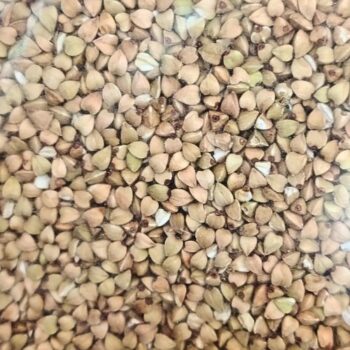 Trigo Sarraceno en Grano /100 gr.