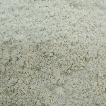 Wasabi en Polvo /100 gr.