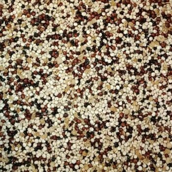Mezcla de Quinoa /100 gr.