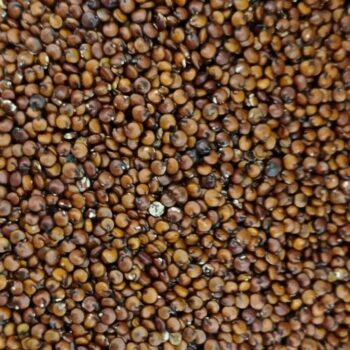 Quinoa Roja /100 gr.