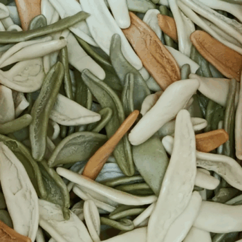 Flogi Bio Tricolor Vegetal /100 gr.