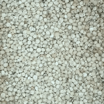 Grano de Sogro /100 gr.