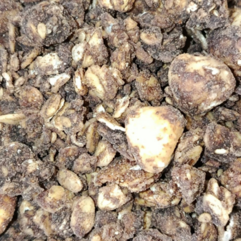 Granola Realfooding (pasta de cacao, pasta de dátil y avellanas) /100 gr.