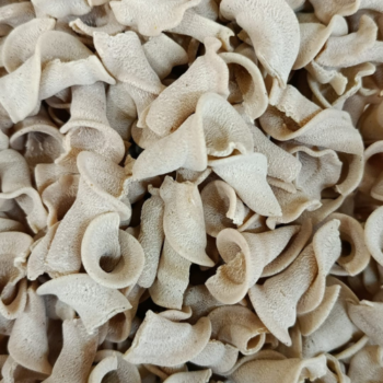 Trompeta Capricho /100 gr.
